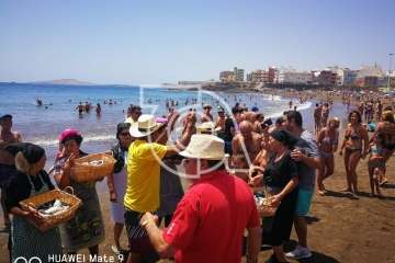 Melenara rememora el chinchorro y la varada del pescado (Foto TA)